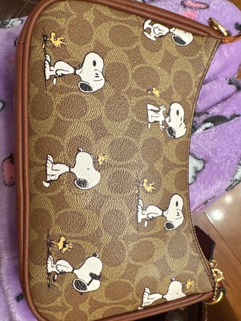 Coach Brown Signature Snoopy Print Toiletry Bag